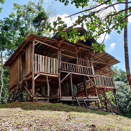 Orangutantreksumatra & Lovely Jungle Lodge Only Book If You Are Treking With Us Bukit Lawang Luaran gambar