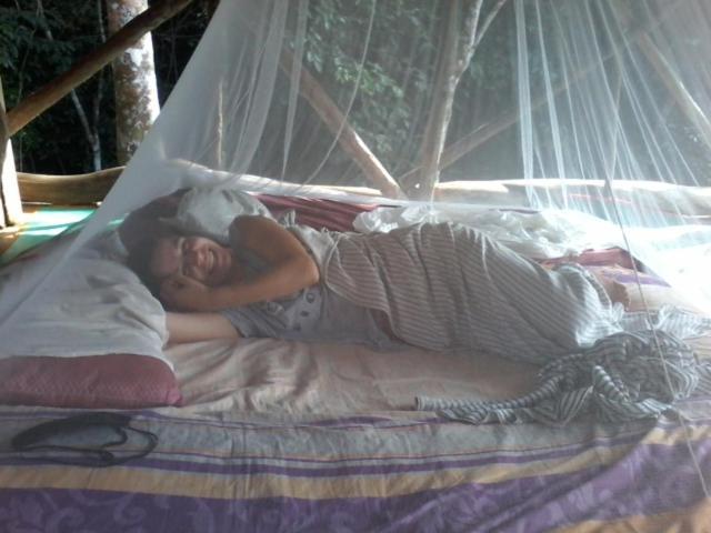 Orangutantreksumatra & Lovely Jungle Lodge Only Book If You Are Treking With Us Bukit Lawang Bilik gambar