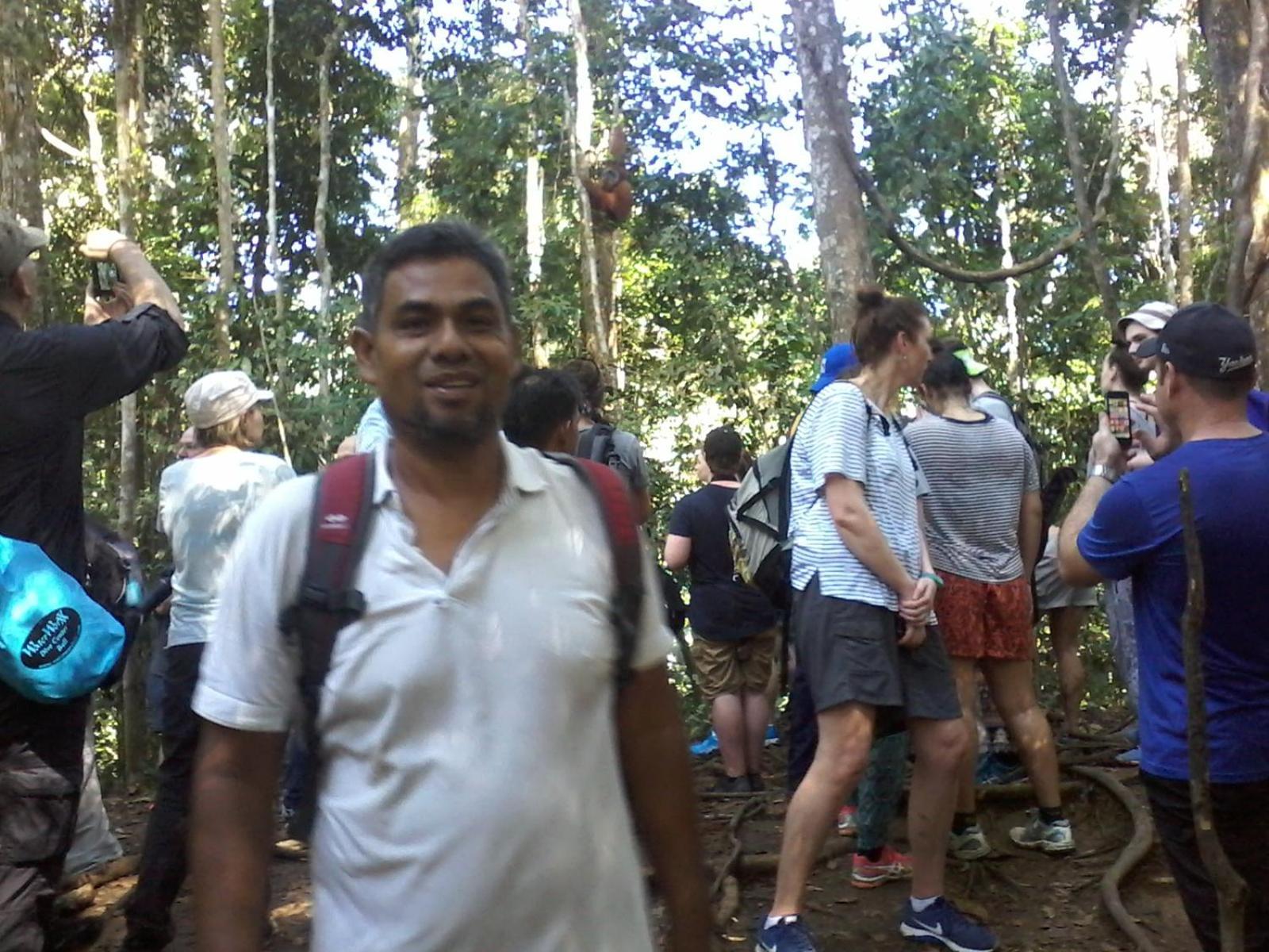 Orangutantreksumatra & Lovely Jungle Lodge Only Book If You Are Treking With Us Bukit Lawang Bilik gambar