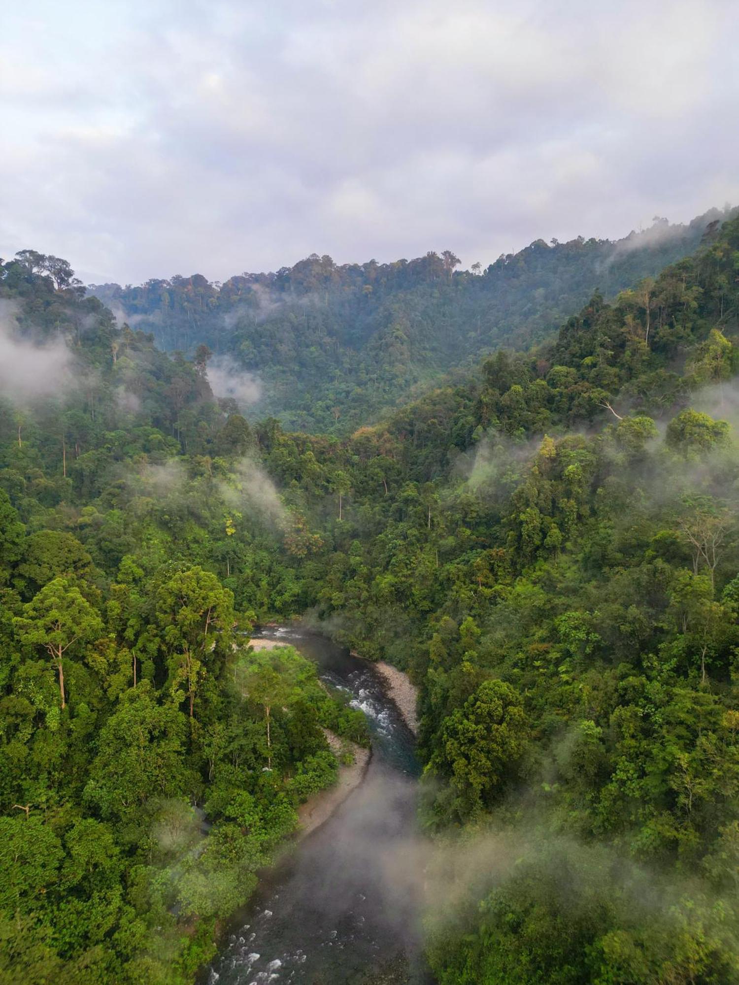 Orangutantreksumatra & Lovely Jungle Lodge Only Book If You Are Treking With Us Bukit Lawang Luaran gambar